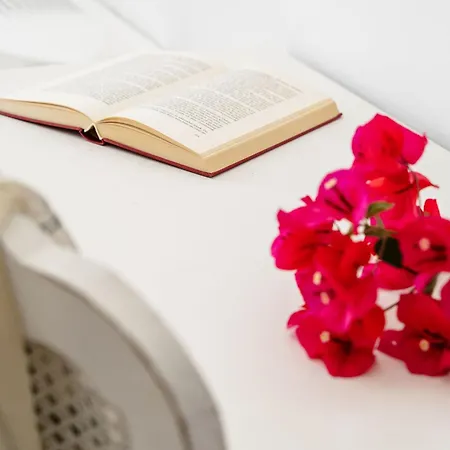 Kastro Boutique Apartamento Naxos City