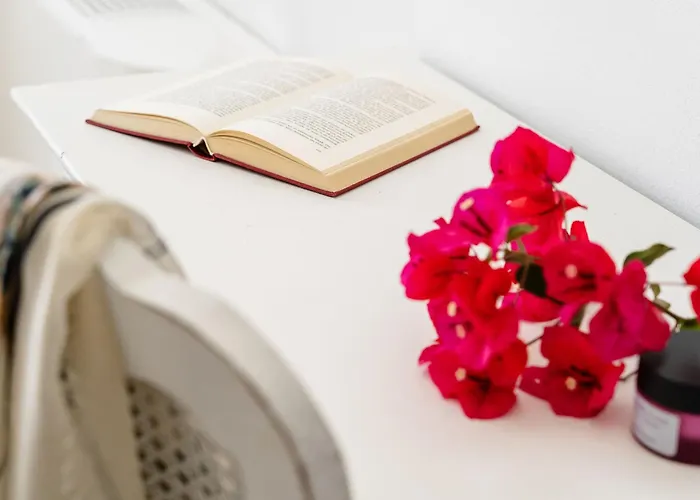 Kastro Boutique アパート Naxos City