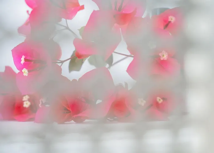 アパート Kastro Boutique *